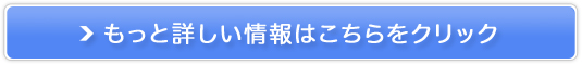 VzzCgjOIyLbƃzCgz̔TCg